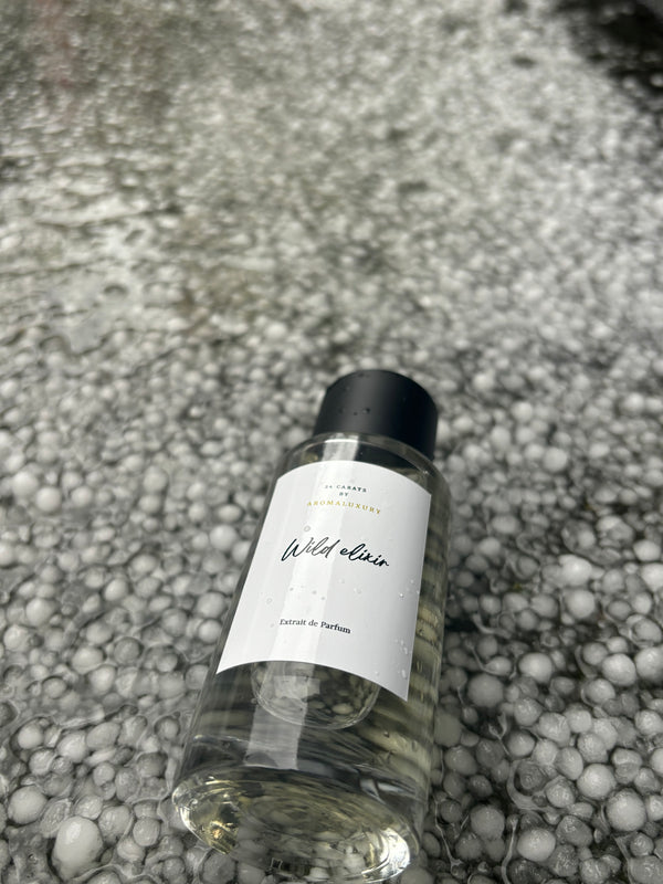 WILD ELIXIR-Inspired by Dior Souvage (men)