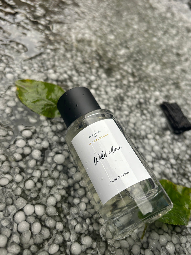 WILD ELIXIR-Inspired by Dior Souvage (men)